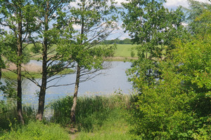 Działka na sprzedaż 3138m2 choszczeński Bierzwnik Zieleniewo - zdjęcie 2