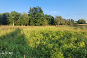 Działka na sprzedaż 41606m2 policki Police Sierakowo - zdjęcie 1