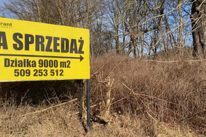 Działka na sprzedaż Szczecin Płonia-Śmierdnica-Jezierzyce Szosa Stargardzka - zdjęcie 2