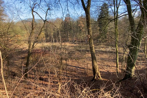 Działka na sprzedaż Szczecin Płonia-Śmierdnica-Jezierzyce Szosa Stargardzka - zdjęcie 3