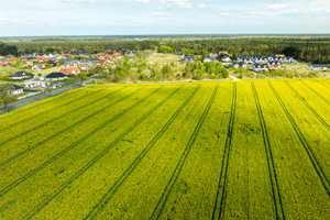 Działka na sprzedaż stargardzki Kobylanka - zdjęcie 3