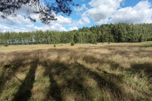 Działka na sprzedaż 3182m2 goleniowski Goleniów Komarowo - zdjęcie 3