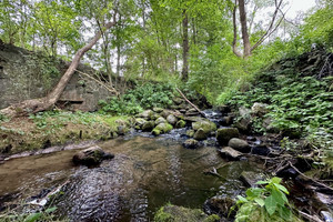 Działka na sprzedaż 29200m2 goleniowski Goleniów Stawno - zdjęcie 1