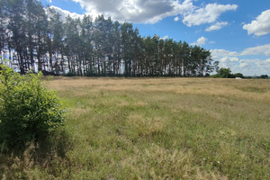 Działka na sprzedaż 3182m2 goleniowski Goleniów Komarowo - zdjęcie 1