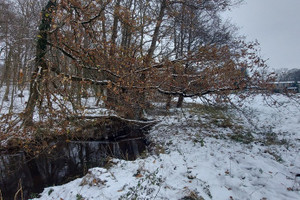 Działka na sprzedaż 3800m2 goleniowski Maszewo Budzieszowce - zdjęcie 4