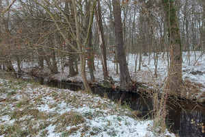 Działka na sprzedaż 3800m2 goleniowski Maszewo Budzieszowce - zdjęcie 3