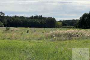 Działka na sprzedaż 3067m2 policki Police Uniemyśl - zdjęcie 3