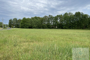 Działka na sprzedaż 974m2 policki Dobra (Szczecińska) Grzepnica Alabastrowa - zdjęcie 1