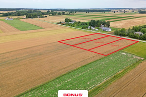 Działka na sprzedaż 2063m2 zamojski Sitno Stabrów - zdjęcie 3