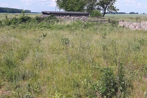 Działka na sprzedaż 785m2 choszczeński Recz Lubieniów - zdjęcie 3