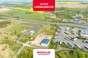 Komercyjne do wynajęcia 375m2 policki Kołbaskowo Barnisław - zdjęcie 1