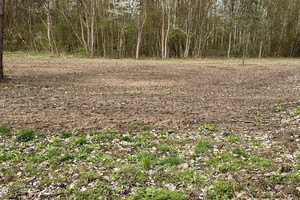 Działka na sprzedaż grójecki Pniewy Kornelówka - zdjęcie 2