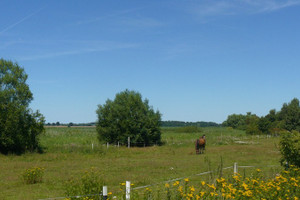 Działka na sprzedaż 10950m2 kamieński Kamień Pomorski Połchowo - zdjęcie 2