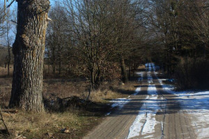 Działka na sprzedaż 3388m2 policki Dobra (Szczecińska) Łęgi Na Świdwie - zdjęcie 1