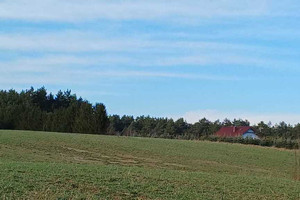 Działka na sprzedaż 10364m2 goleniowski Przybiernów Zabierzewo - zdjęcie 1