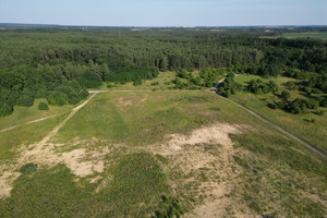 Działka na sprzedaż 42300m2 gryfiński Gryfino Daleszewo - zdjęcie 3