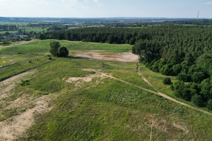 Działka na sprzedaż 42300m2 gryfiński Gryfino Daleszewo - zdjęcie 2