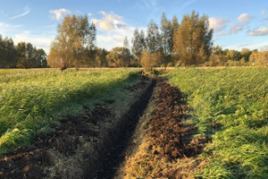 Działka na sprzedaż policki Dobra (Szczecińska) Dobra - zdjęcie 3