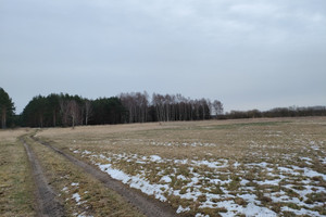 Działka na sprzedaż goleniowski Goleniów Lubczyna - zdjęcie 2