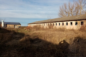 Komercyjne na sprzedaż 827m2 policki Kołbaskowo Kamieniec - zdjęcie 1