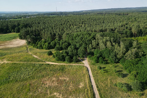 Działka na sprzedaż 4053m2 gryfiński Gryfino Daleszewo - zdjęcie 2