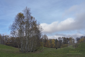 Działka na sprzedaż łobeski Węgorzyno Sarnikierz - zdjęcie 1