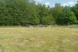 Działka na sprzedaż 3341m2 stargardzki Chociwel - zdjęcie 2