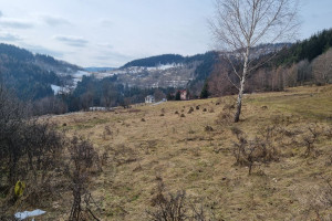 Działka na sprzedaż 932m2 suski Zawoja - zdjęcie 3