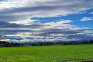 Dom na sprzedaż 132m2 legnicki Legnickie Pole Jana Matejki - zdjęcie 2