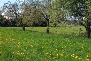 Działka na sprzedaż dzierżoniowski Pieszyce Piskorzów - zdjęcie 3