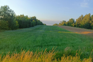 Działka na sprzedaż bełchatowski Zelów Kolonia Łobudzice - zdjęcie 1