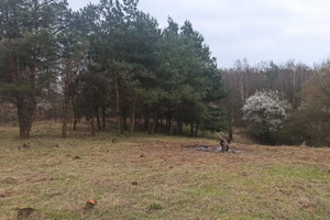 Działka na sprzedaż czarnkowsko-trzcianecki Czarnków Leśna - zdjęcie 3