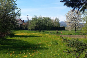 Działka na sprzedaż dzierżoniowski Pieszyce Piskorzów - zdjęcie 1