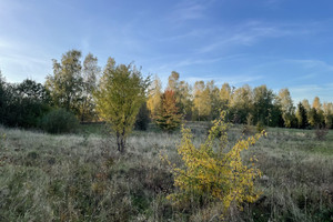 Działka na sprzedaż ostródzki Morąg Wilnowo - zdjęcie 3