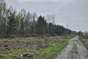 Działka na sprzedaż konecki Końskie Pomyków - zdjęcie 2