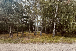 Działka na sprzedaż pułtuski Obryte Tocznabiel - zdjęcie 1