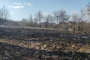 Działka na sprzedaż Kraków Dębniki Tyniec Nad Czerną - zdjęcie 2