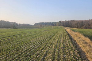 Działka na sprzedaż gnieźnieński Gniezno Lubochnia - zdjęcie 1