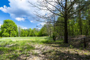 Działka na sprzedaż Warszawa Wawer Fromborska - zdjęcie 3