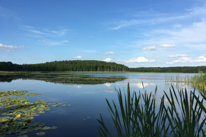 Dom na sprzedaż 163m2 olsztyński Jonkowo Gamerki Wielkie - zdjęcie 3