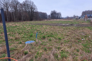 Działka na sprzedaż pabianicki Lutomiersk Prusinowice - zdjęcie 3