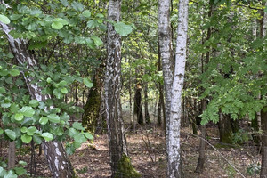 Działka na sprzedaż przeworski Adamówka Majdan Sieniawski - zdjęcie 1