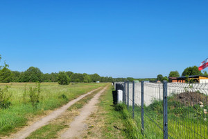 Działka na sprzedaż poddębicki Dalików Wilków - zdjęcie 1