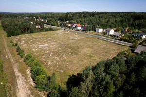 Działka do wynajęcia skarżyski Bliżyn Wojtyniów - zdjęcie 3