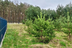 Działka na sprzedaż poznański Dopiewo Dopiewiec Gościnna - zdjęcie 2