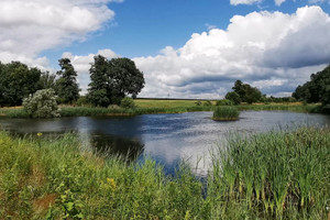 Działka na sprzedaż gliwicki Pilchowice Żernica - zdjęcie 1