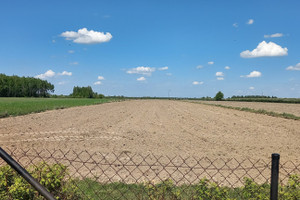 Działka na sprzedaż sieradzki Warta Lipiny - zdjęcie 3