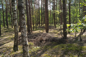 Działka na sprzedaż wyszkowski Zabrodzie Podgać - zdjęcie 1