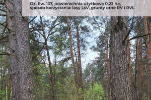 Działka na sprzedaż sochaczewski Brochów Nowa Wieś-Śladów - zdjęcie 1