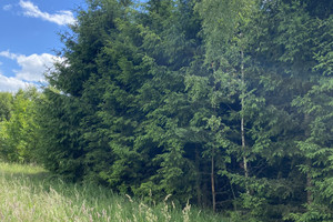 Działka na sprzedaż ostródzki Morąg Chojnik - zdjęcie 1